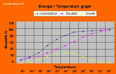 Temperatura energia di crescita